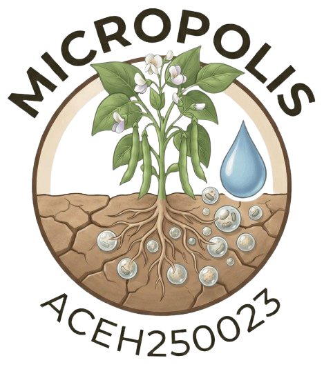 Proyecto Micrópolis